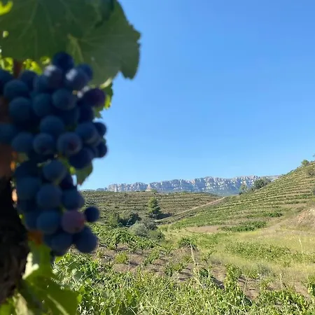 Vinyes Del Priorat * Cornudella de Montsant
