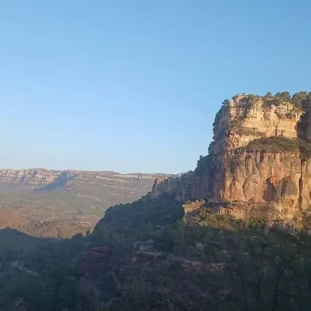 Vinyes Del Priorat