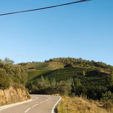 Vinyes Del Priorat *