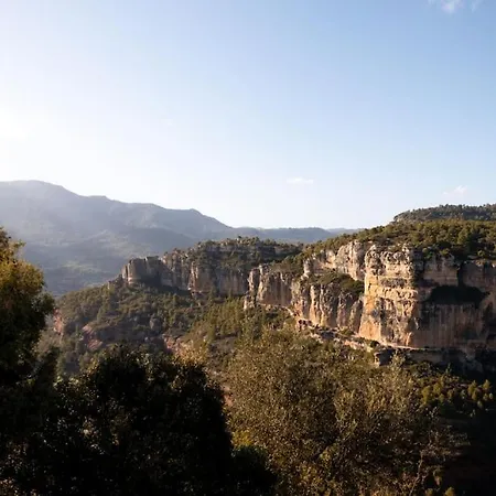 Vinyes Del Priorat *